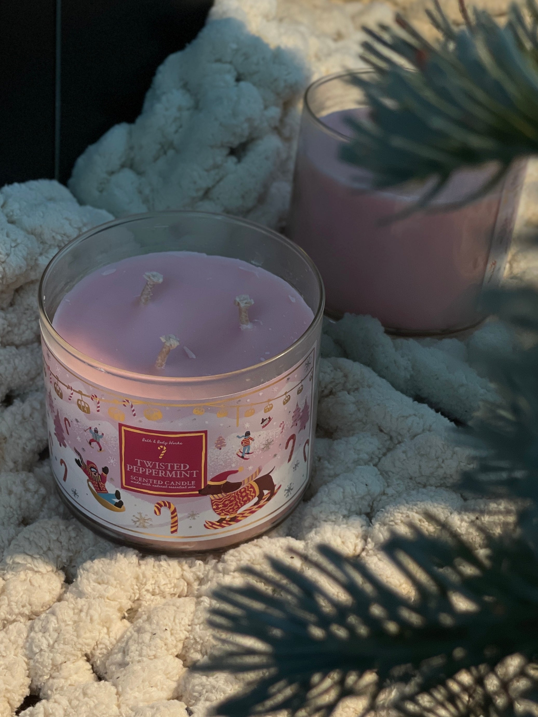 【絕版品牌代購】BBW SCENTED 3-WICKS CANDLE #10
