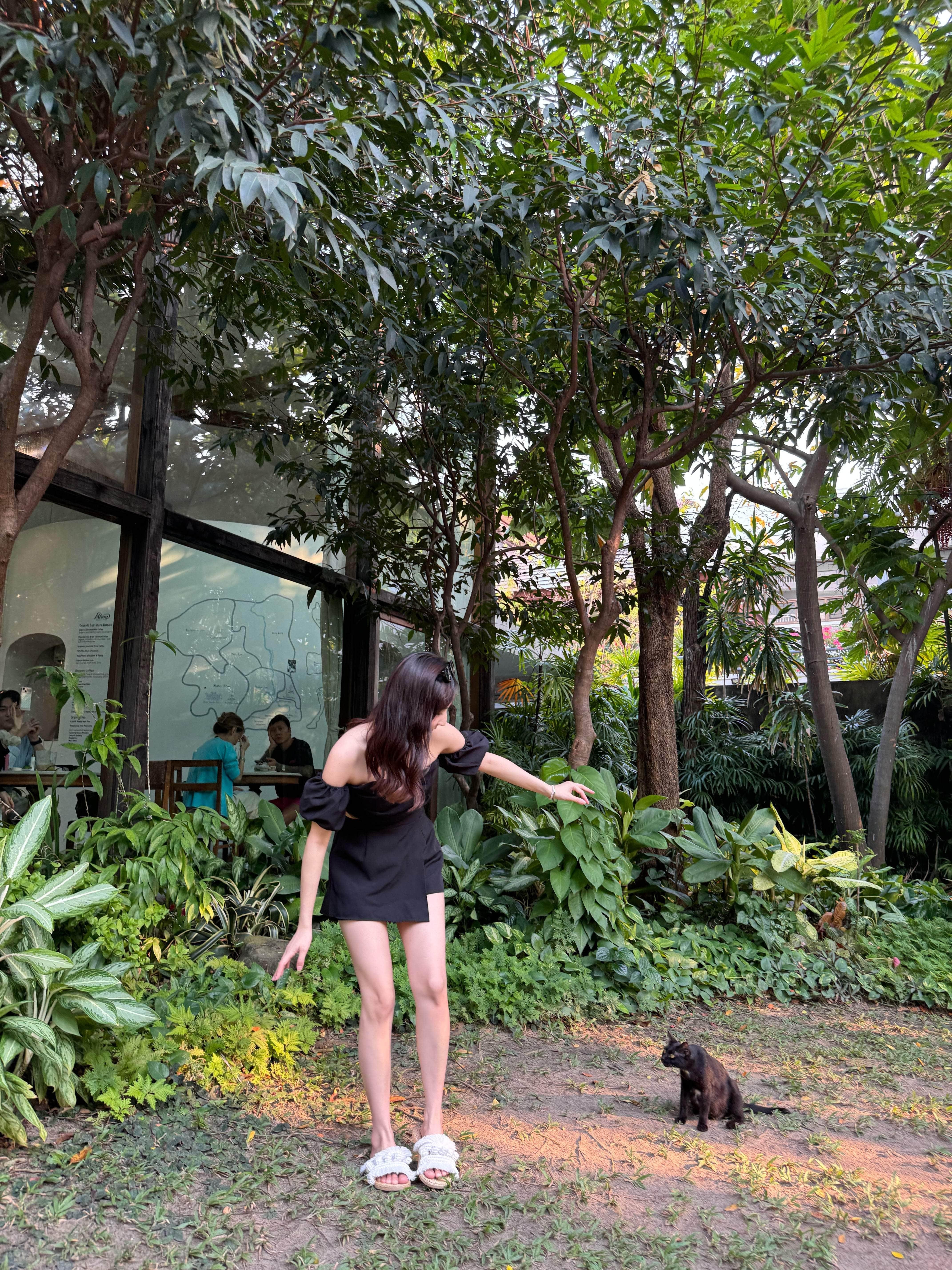 泰國服飾 【早鳥泰國連線🇹🇭🌻】泡芙袖Lace tube top set 有胸墊上衣+褲裙